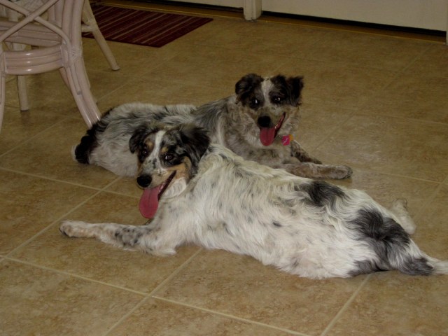 Charlie and Charlotte